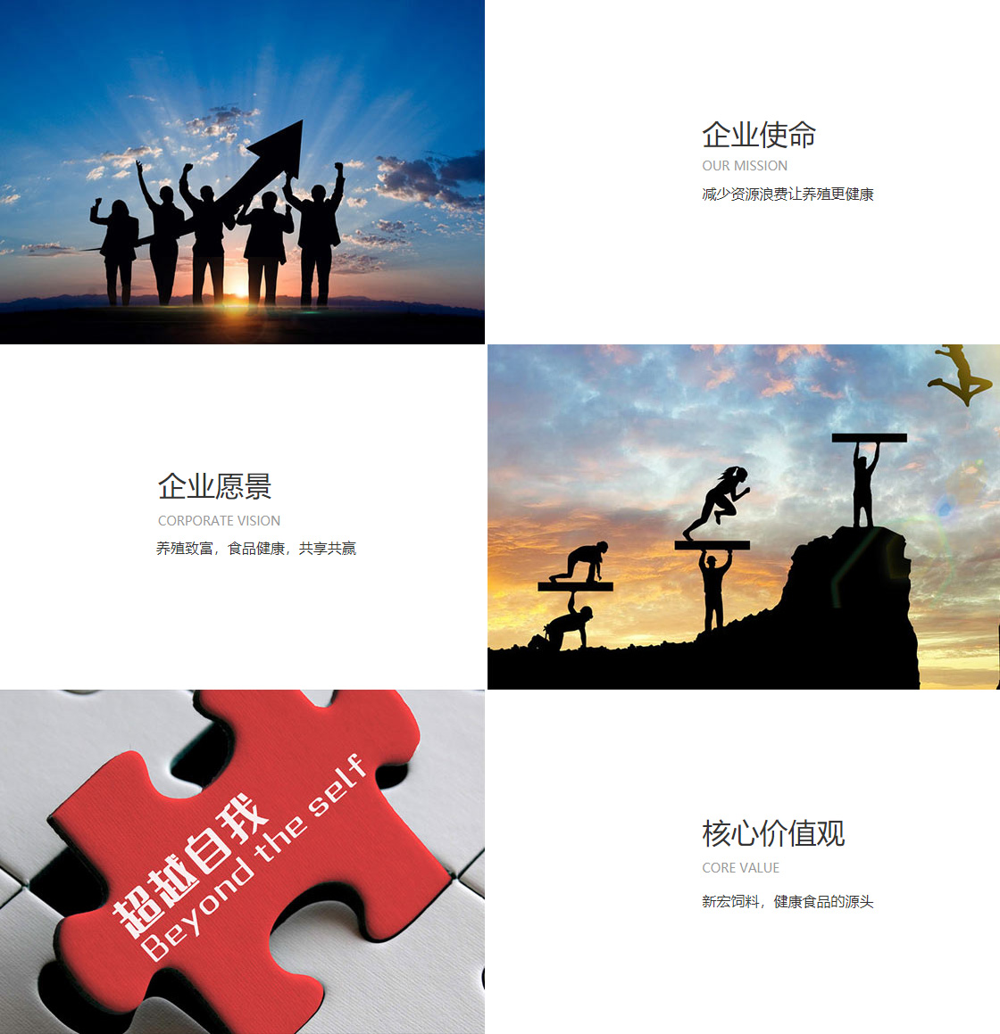 开云手机端(图1)